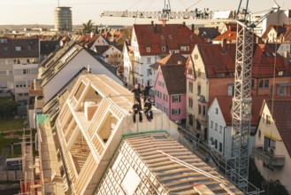 Craftsmen enjoy the view from a new roof in a dense residential area, carpentry, renovation, roof