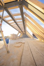 Light-flooded interior with wooden roof construction during construction, carpentry construction,