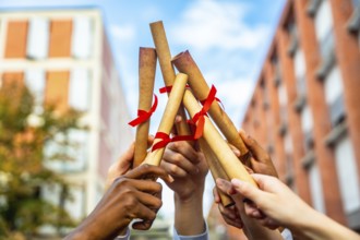 Diverse hands are holding rolled diplomas tied with red ribbons, raising them up in celebration of
