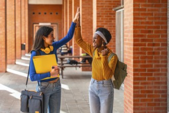 Two diverse university students celebrating academic success, high fiving and smiling happily while
