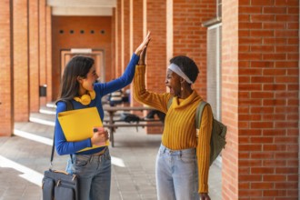 Joyful diverse students high fiving, celebrating achievement and friendship in a university