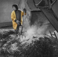 Little boy working on manure on a farm, black and white, Bavaria, Germany