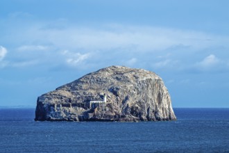 Bass Rock Island and Lighthouse, Scotland's Firth of Forth, Scotland, UK