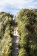 Dunes over Bamburgh Castle, Northumberland, Northeast Coast, England, UK