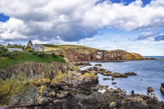 St Abbs, Eyemouth, Scottish Borders, UK
