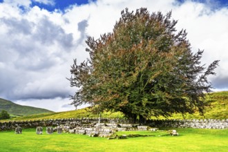 The Chapel at Hermitage, Hermitage Castle, Hermitage Water, Liddesdale, Roxburghshire,