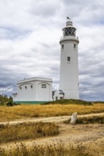 Hurst Point Lighthouse and Hurst Castle, Hurst Spit, Milford on Sea, Lymington, Hampshire, UK