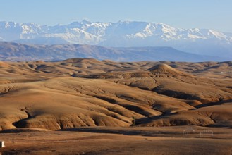 Agafay desert, rocky desert, snow-covered Atlas Mountains behind, near Marrakesh, Morocco