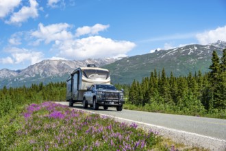 Off-road vehicle with caravan on highway, road through taiga and mountain landscape with purple