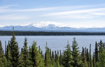 Lake Willow Lake, taiga landscape with high glaciated mountain peak Mount Wrangell, Wrangell