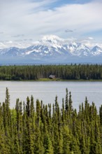 House on Lake Willow Lake, Taiga landscape with high glaciated mountain peak Mount Drum, Wrangell