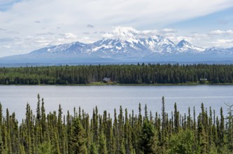 Lake Willow Lake, taiga landscape with high glaciated mountain peak Mount Drum, Wrangell Mountains,