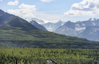 Taiga and tundra in front of mountain landscape, picturesque landscape with icy mountain peaks,