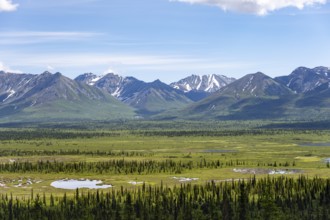 Taiga and tundra in front of mountain landscape, picturesque landscape, Glenn Highway, Alaska, USA