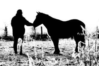 Silhouettes of a human and a horse in a contrasting winter field, Konik, Konik horse, Konik pony