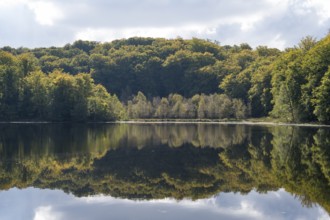 Schwarzer See, Kesselsee, reflection, Granitz Nature Reserve, Southeast Rügen Biosphere Reserve,