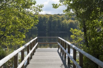 Viewing Platform, Schwarzer See, Granitz Nature Reserve, Southeast Rügen Biosphere Reserve, Rügen