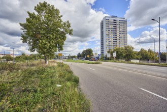 Residential silo, high-rise building, high-rise residential building, road, lanes, trees, grass,