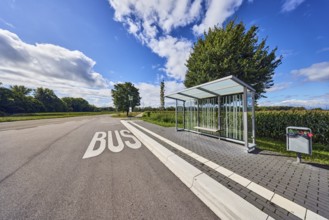 Hohnhurst bus stop, bus shelters, public trash can, road marking BUS, corn field, trees, blue sky,