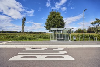 Hohnhurst bus stop, bus shelter, public trash can, lantern, road marking BUS, corn field, trees,