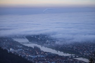 Aerial view of the city of Heidelberg on the Neckar, sea of fog from low-hanging clouds and fog