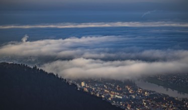 Aerial view of the city of Heidelberg on the Neckar, fog landscape of low-hanging clouds and fog