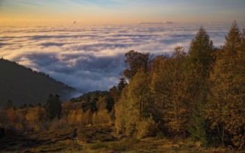 Aerial view, view from Königstuhl Heidelberg in evening light with Indian summer over autumnal fog