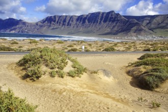 Beach with dunes and vegetation in front of a mountain range and cloudy sky, Caleta de Famara,