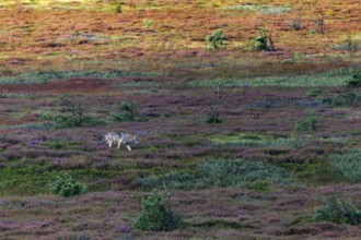 It is a feeling of joy, humility and a confirmation of your own actions when, after three years of