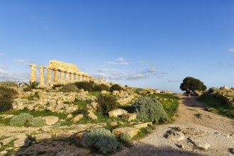 Temple in the ancient Greek city of Selinunte, acropolis, Doric style, hiking trail, archaeological
