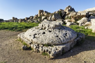Stone column, base in the ruins of Temple G, destruction, ancient Greek city Selinunte, acropolis,