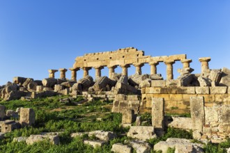 Temple G, unfinished, ruin, ancient Greek city Selinunte, acropolis, Doric style, archaeological