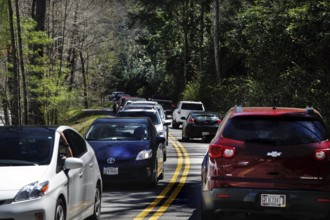 Traffic on the winding road in Great Smoky Mountains National Park, Great Smoky Mountains, USA
