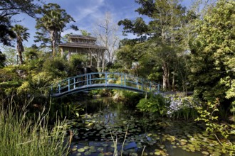 Arched bridge over a pond with lush vegetation, zero