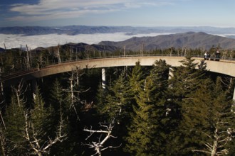 Observation deck with a wide view over the forested mountains, Chlingmans Dome, Great Smoky