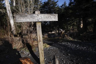 Guide along the Appalachian Trail in the Great Smoky Mountains Forest, Chlingmans Dome, Great Smoky
