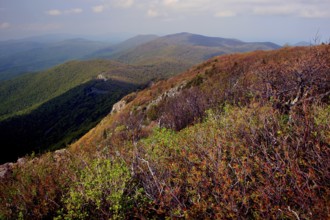 View from the summit of Stony Man in Shenandoah National Park over wooded hills, Shenandoah