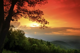 Colorful sunset over green landscape in Shenandoah National Park, Shenandoah, Virginia, USA