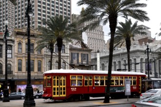 Red streetcar runs through a palm tree-lined street in the city center, New Orleans, Louisiana, USA