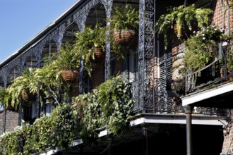 Lavishly planted balcony with intricate iron decorations in the French Quarter, New Orleans,