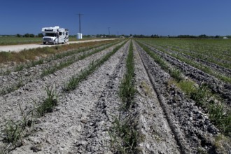 Wide field with motorhome under clear sky, Mississippi Valley, USA