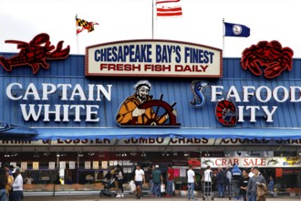 Colourful fish market with lively signs and people in front of the entrance, Washington D.C, USA