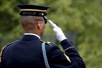 A soldier in formal uniform salutes during a formal ceremony, tree belt in the background,