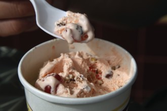 Close-up of Tutti Frutti ice cream in a mug with plastic spoon, Savannah, Georgia, USA
