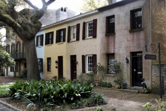 Rows of historic townhouses with diverse facades and rich greenery, Savannah, Georgia, USA