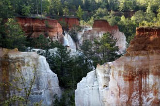 Dense vegetation around rock formations in Providence State Park, Providence Canyon State Park,