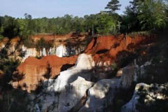 Distinctive red and white rocks in Providence State Park, Providence Canyon State Park, Georgia,