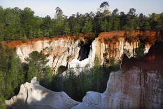 Impressive gorge-like rock formations in Providence State Park, Providence Canyon State Park,