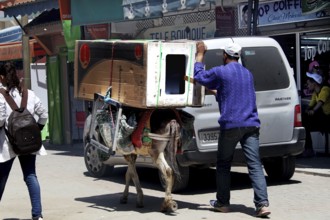 Street scene with a donkey carrying loads next to a van. People walk by while shops are in the