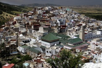 View of the densely built town of Moulay Idris with its distinctive green roofs, Moulay Idris,